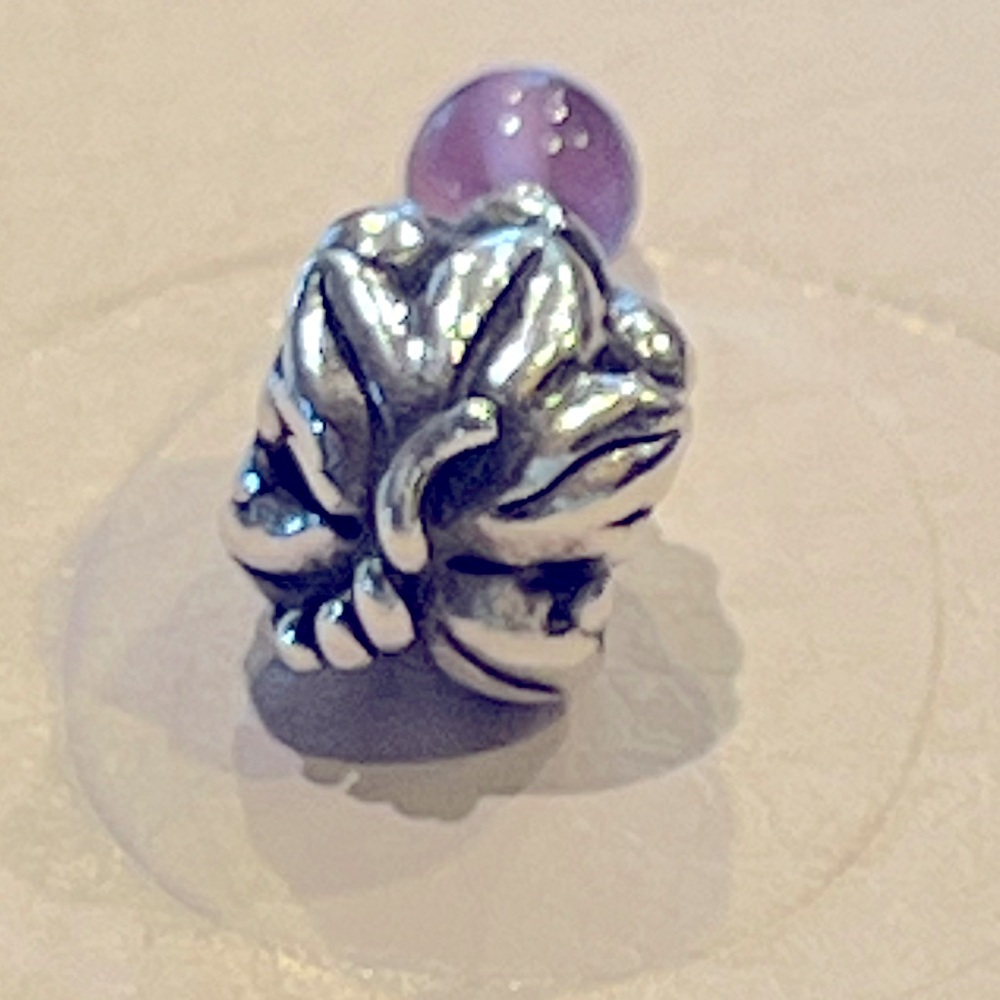 Pandora Authentic Grape Charm w/Amethyst Dangle - Picture 4 of 6